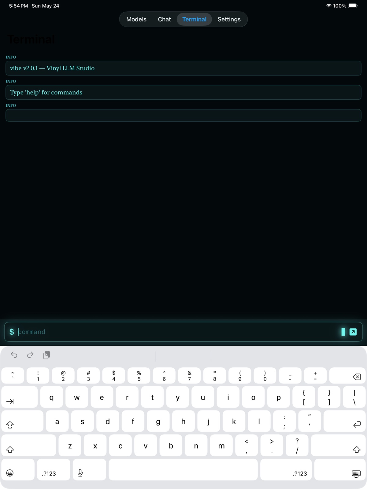 Terminal tab — vibe CLI with live server logs